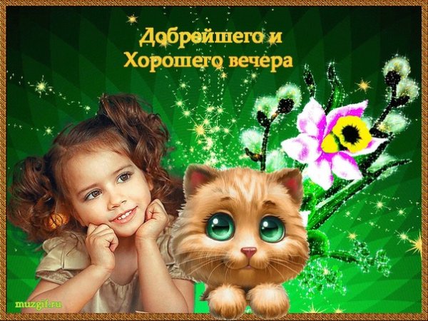 Отличного вечера и хорошего настроения прикольные