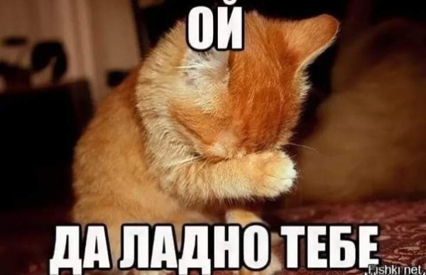 Вы меня смущаете