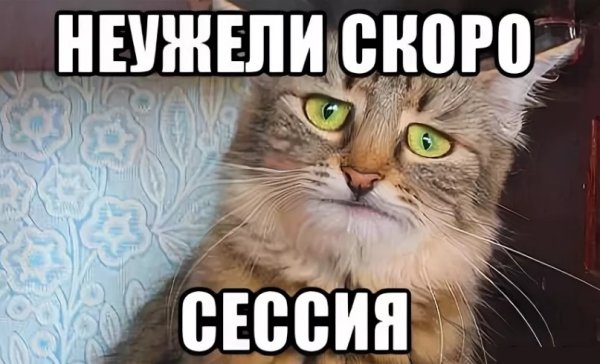 Скоро сессия картинки