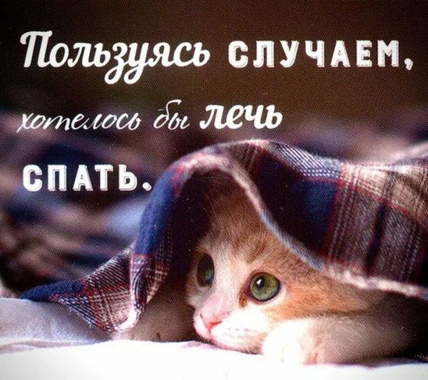 Я спать спокойной ночи
