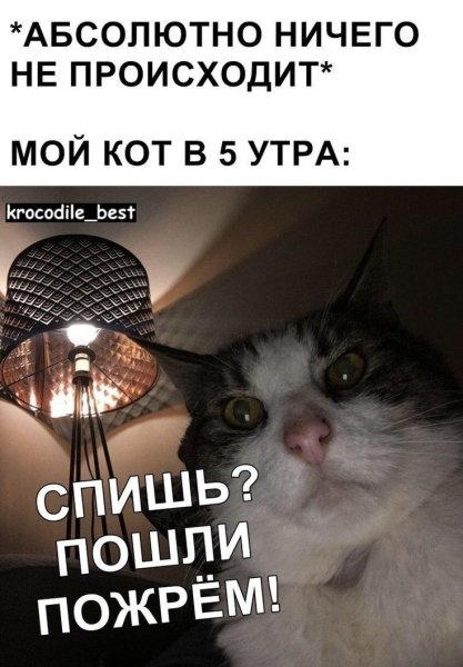 Фото пошли пожрем