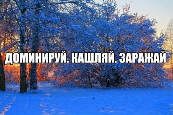 Ржачные картинки про декабрь