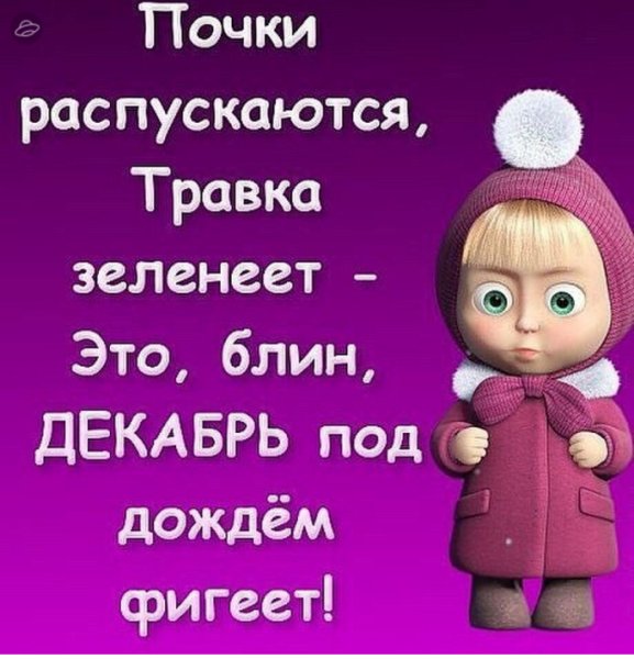 Декабрьские шутки