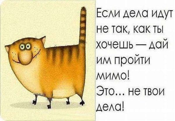 Совет дня с юмором в картинках