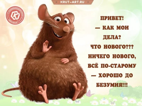 Смешные открытки