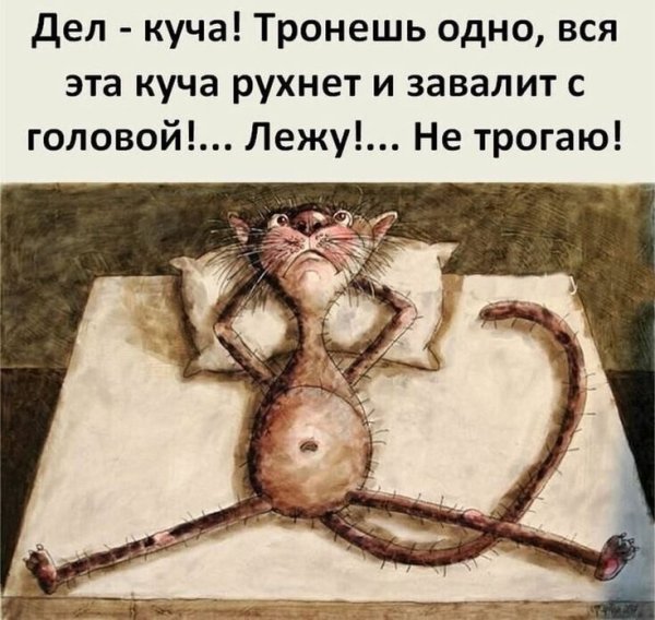 Картинка дел куча лежу не трогаю