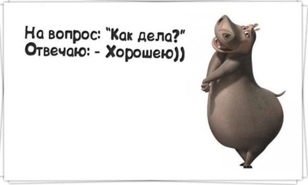 Ответ на вопрос как дела в картинках прикольные смешные