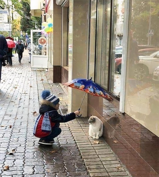 Доброта спасет мир