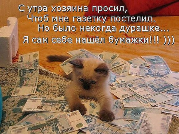 Деньги прикол