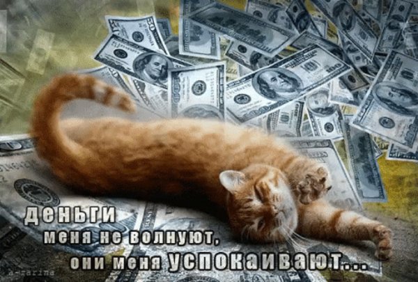 Денежный кот открытка