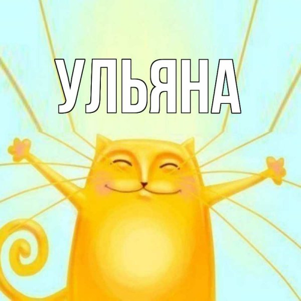 Котик на солнышке