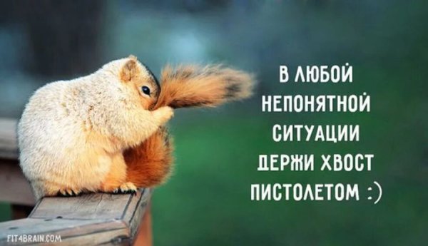 Афоризмы для поднятия настроения