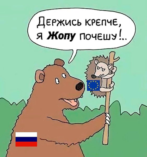 Шутки про медведя