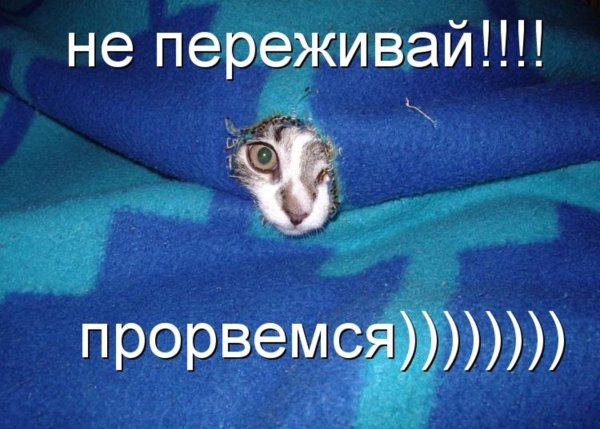Прорвёмся картинки прикольные
