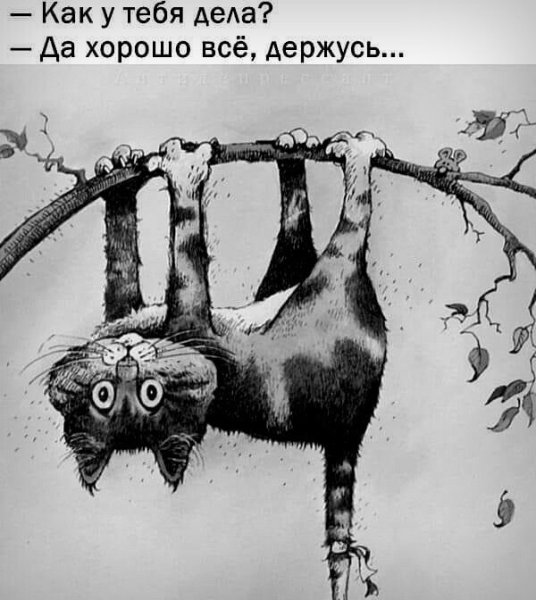 Держись картинки