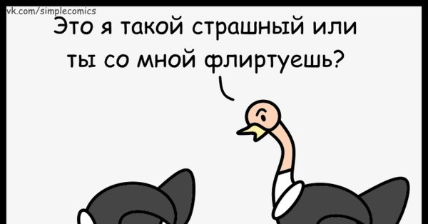 Трынь дилемма и бошечка мохнатенькая