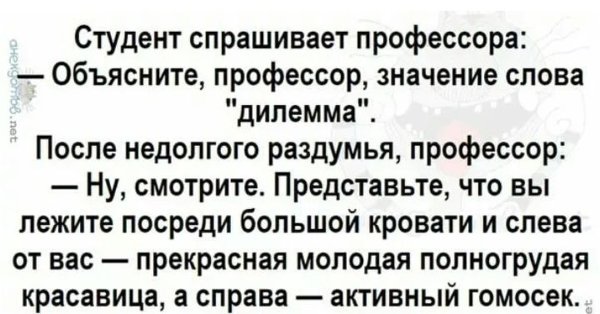 Что такое дилемма анекирд