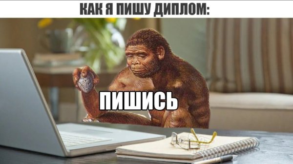 Приколы про написание диплома