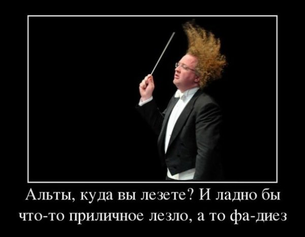 Цитаты дирижеров смешные