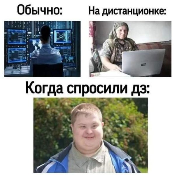 Мемы про Дистанционное обучение
