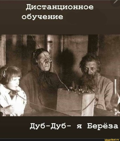 Дуб дуб я береза