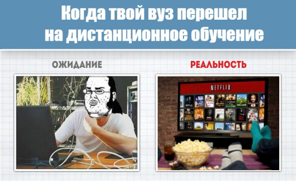 Дистанционное обучение приколы