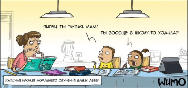 Шутки про Дистанционное обучение