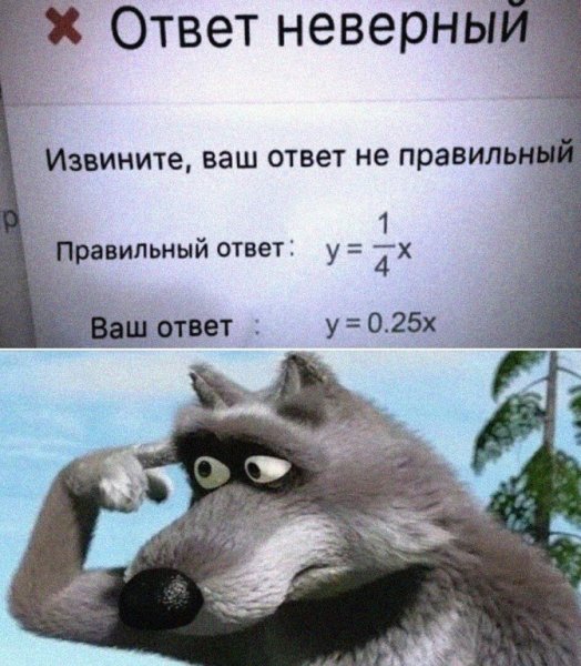 Приколы про образование