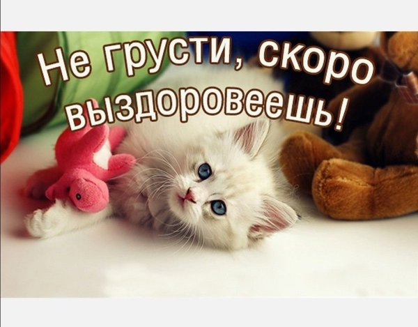 Скорейшего выздоровления открытка