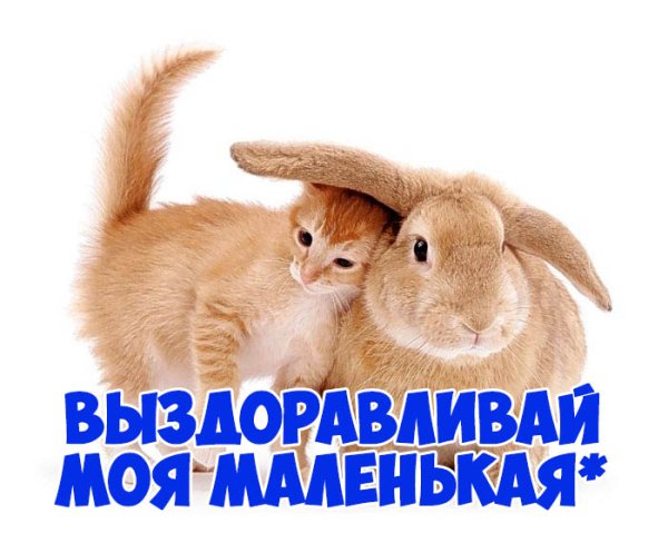 Не болей Зайка