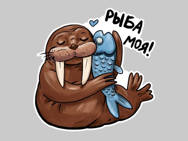 Морж наклейка