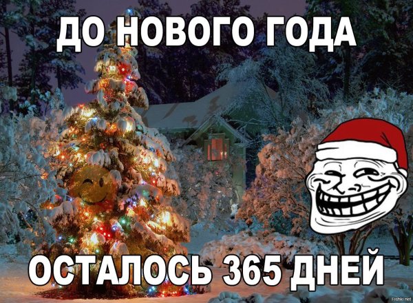 До нового года 365 дней