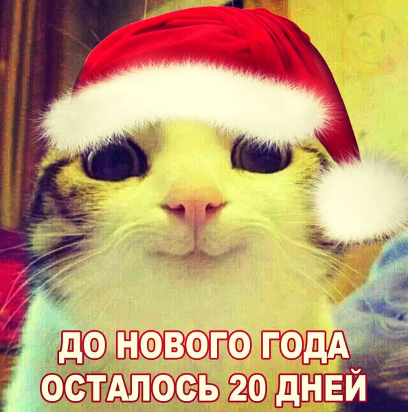 До нового года 20 дней