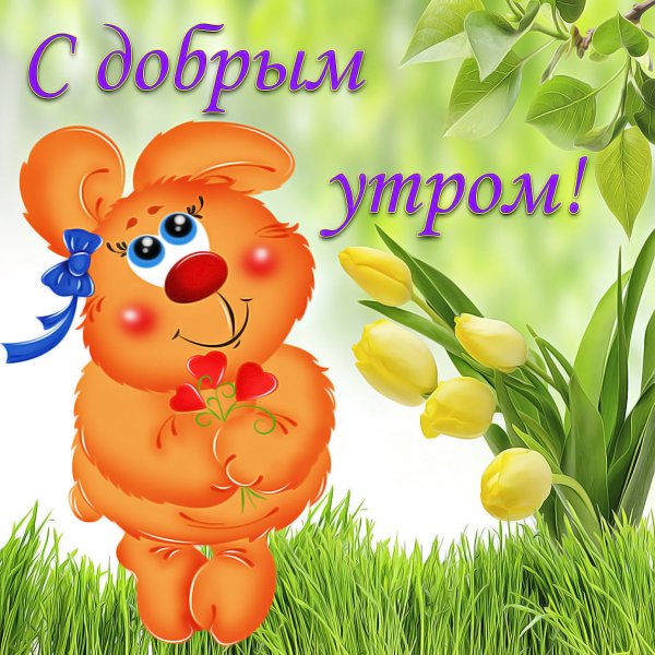 Открытки с добрым утром красивые
