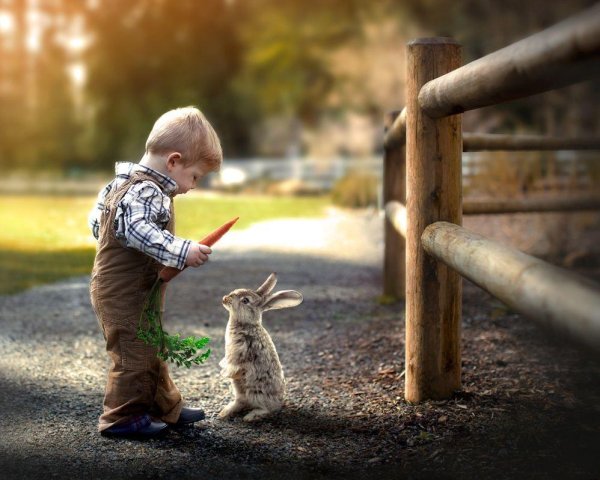 Для детей. Животные