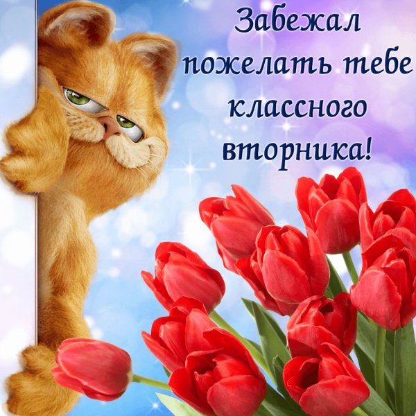 Открытки с пожеланиями