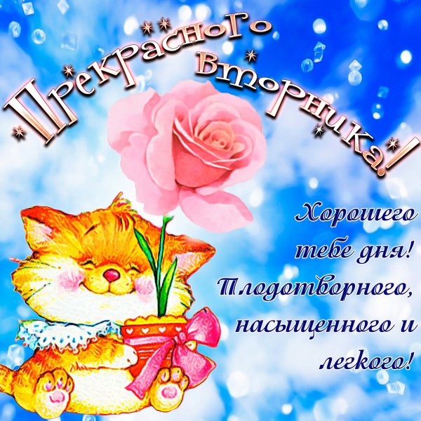 Открытки на каждый день