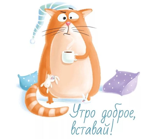 Веселые открытки