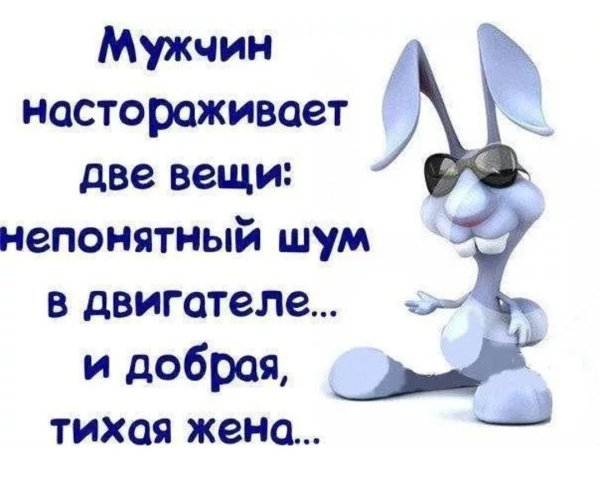 Интересные статусы с юмором