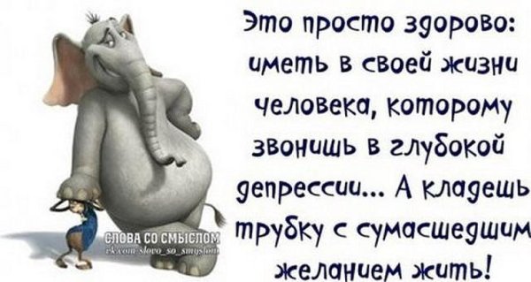 Смешные высказывания о жизни