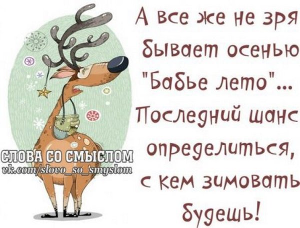 Веселые цитаты