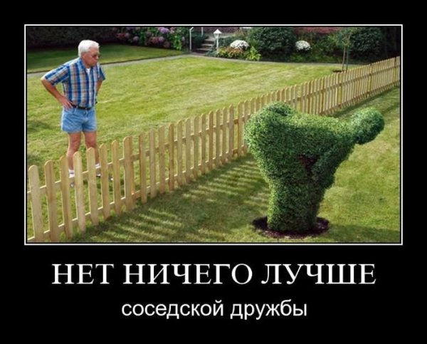 Забор прикол