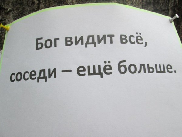 Цитаты про соседей
