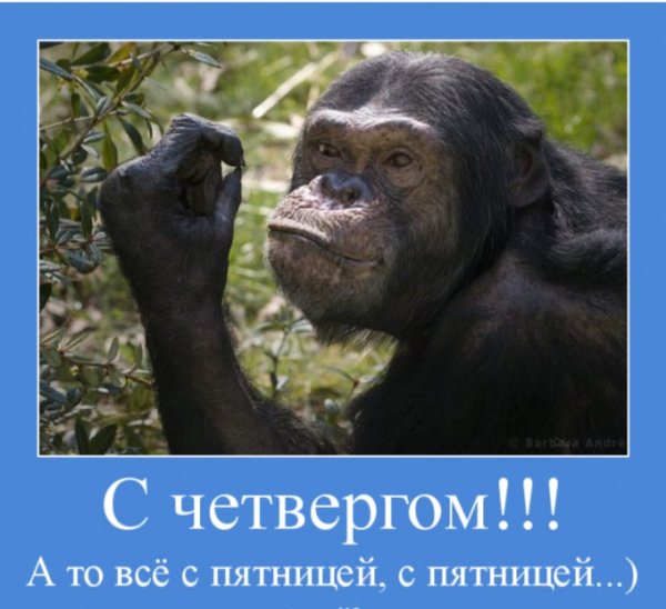 Весёлого четверга картинки