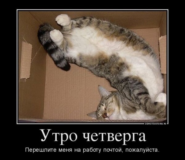 Смешные картинки про четверг