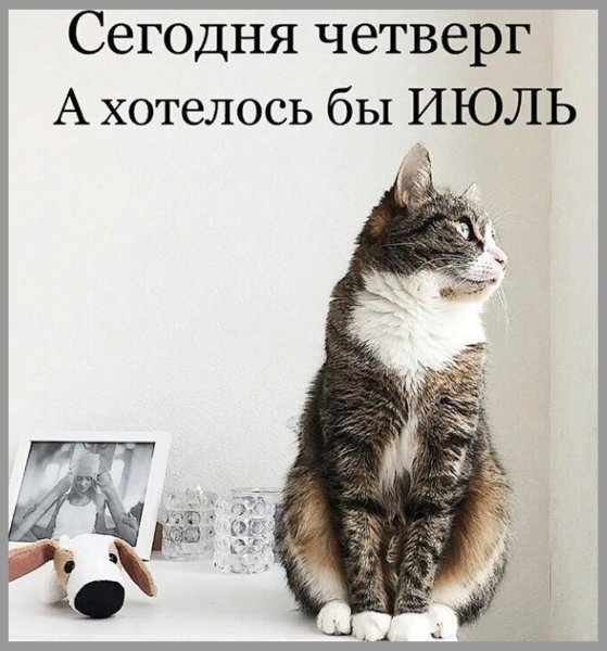 Шутки про четверг и работу