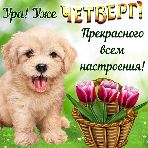 Поздравление с хорошим днем