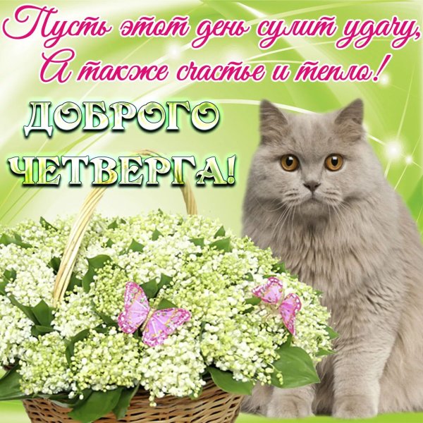 Добрые пожелания