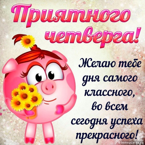 Прикольные пожелания на весь день