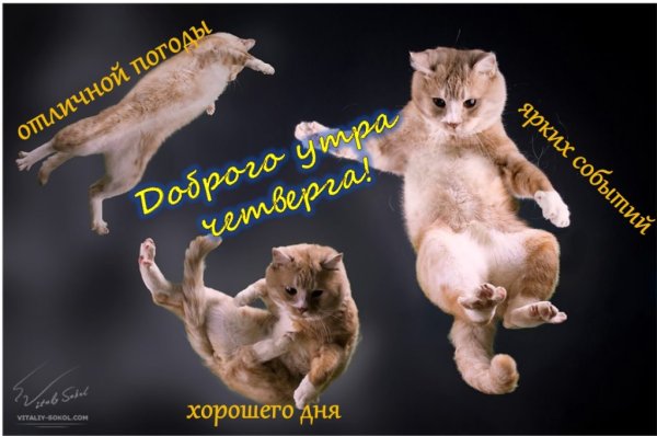 Четверг хорошего дня